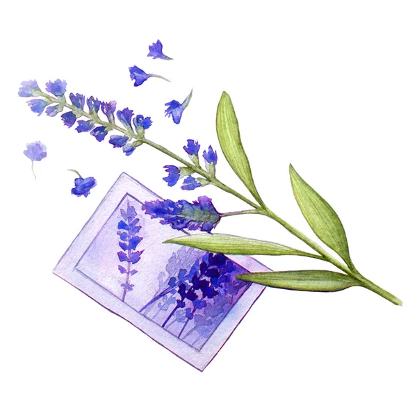 Lavender watercolor greeting card. — Stock Photo, Image