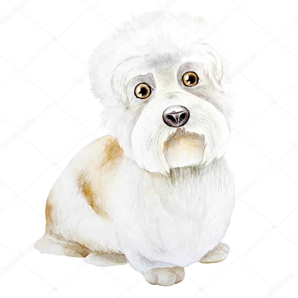 Dog watercolor image