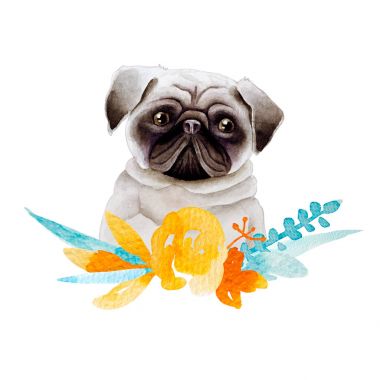 Köpek suluboya resim