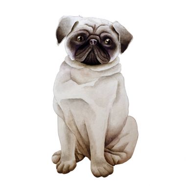 Köpek suluboya resim