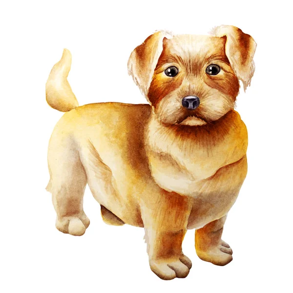 Kutya akvarell kép — Stock Fotó