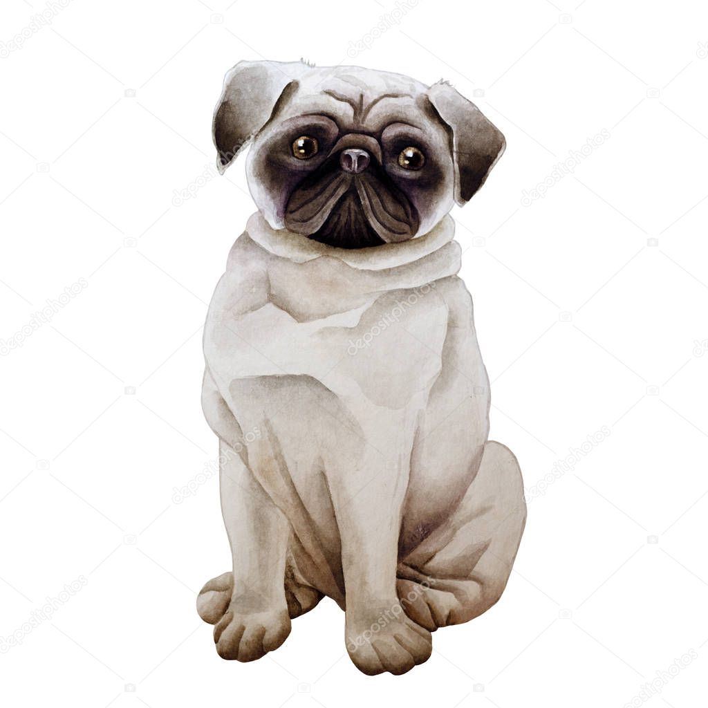Dog watercolor image