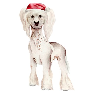 Köpek suluboya resim