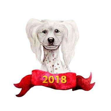 Köpek suluboya resim