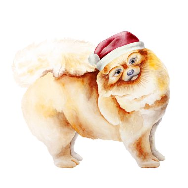 Köpek suluboya resim