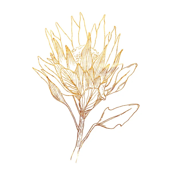 Virágos dísznövények arany textúra — Stock Fotó