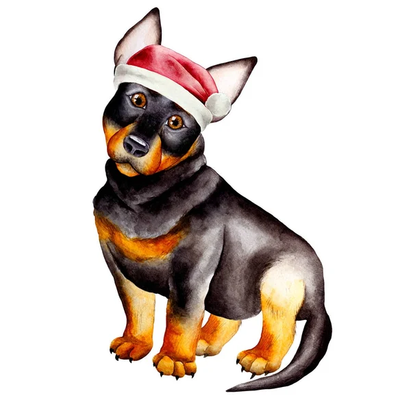 Dog watercolor image — Stock Photo, Image