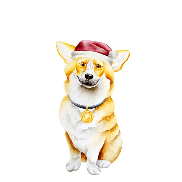 Hond aquarel afbeelding — Stockfoto