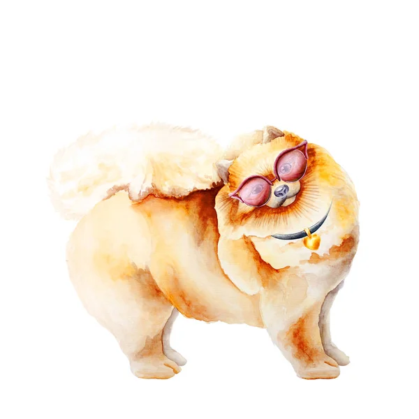 Dog watercolor image — Stock Photo, Image