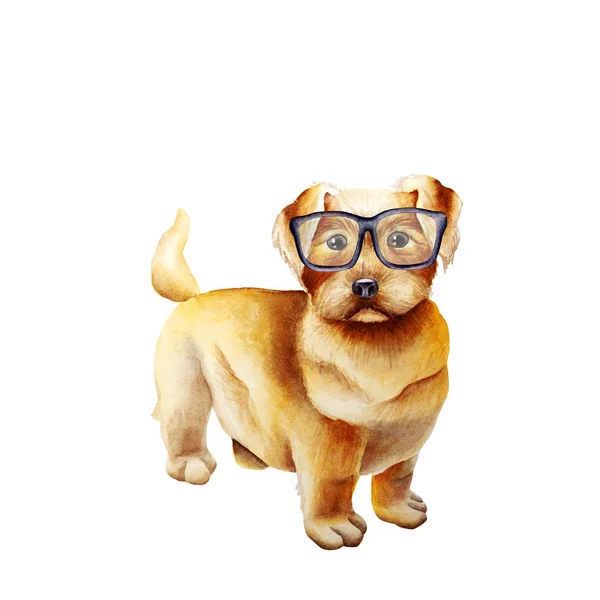 Dog watercolor image — Stock Photo, Image