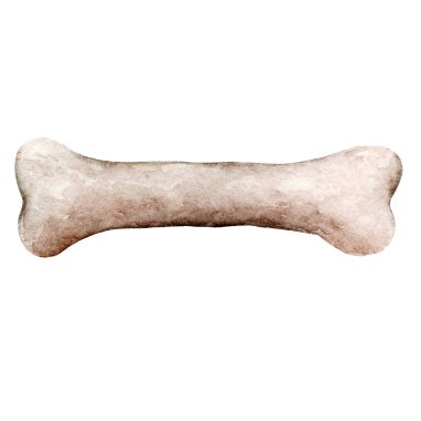 kemik köpek suluboya