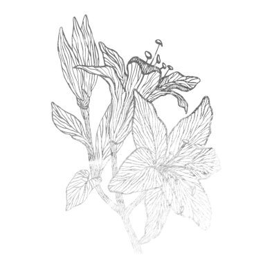 Çiçek süs gümüş doku