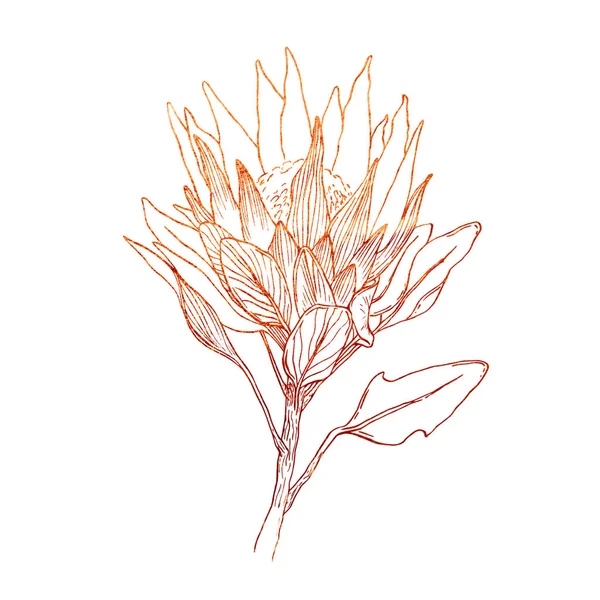 Textura de cobre ornamental floral — Fotografia de Stock
