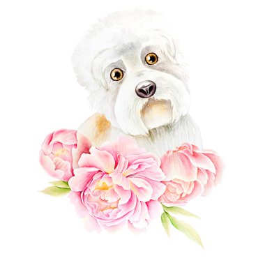 kart köpek ve çiçek