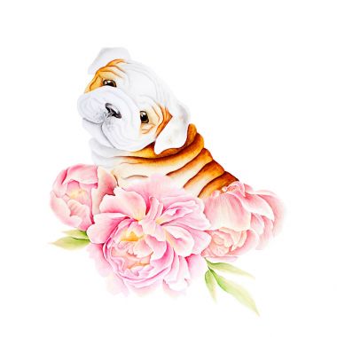 kart köpek ve çiçek