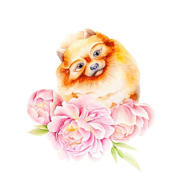 Card dog and flower — Stock Photo, Image