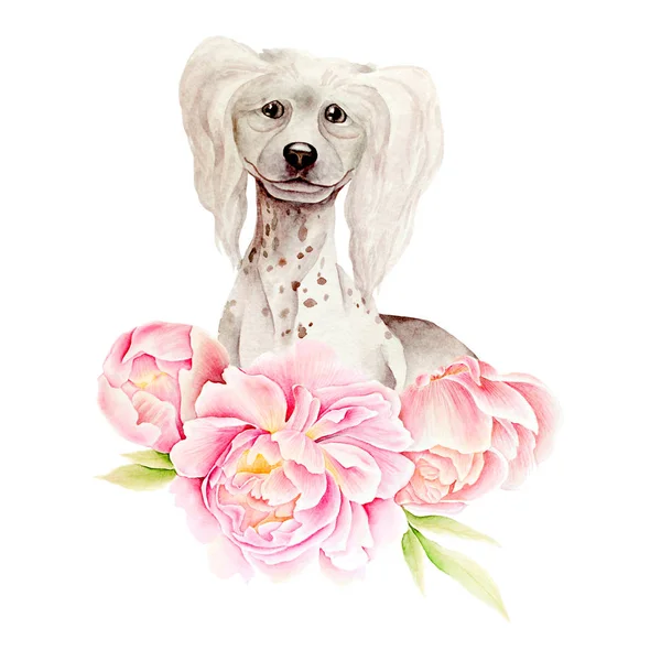 Cartão de cão e flor — Fotografia de Stock