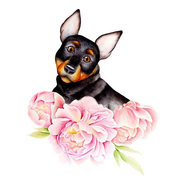 Card dog and flower — Stock Photo, Image