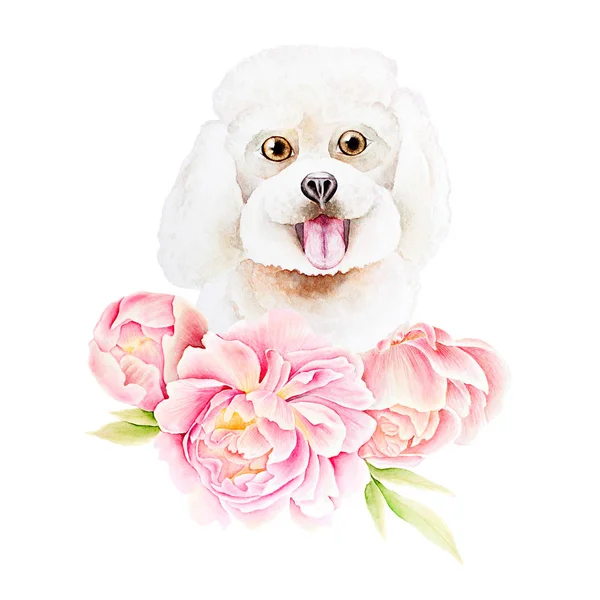 Karte Hund und Blume — Stockfoto