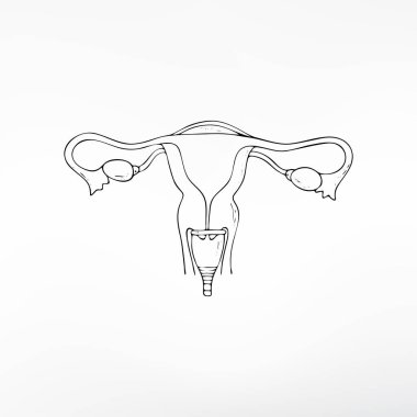 Menstrual cup hygiene product for women vector isolated illustration clipart