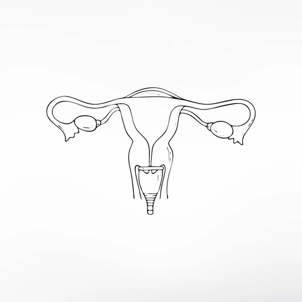 Producto Higiene Copa Menstrual Para Mujeres Vector Ilustración Aislada — Archivo Imágenes Vectoriales