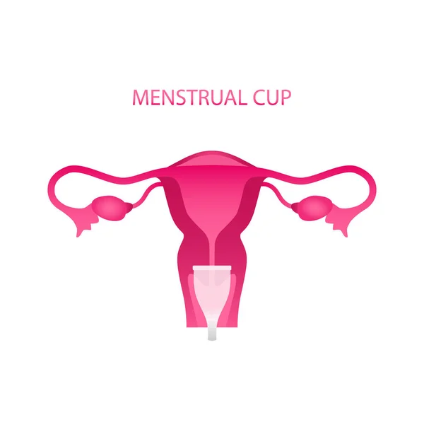 Productos Higiénicos Para Mujeres Durante Menstruación Ilustración Vectorial — Vector de stock