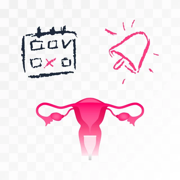 カレンダーのベクトルイラストは サイクルの始まり 月経カップ 解剖学は女性の生殖システムの構造です — ストックベクタ