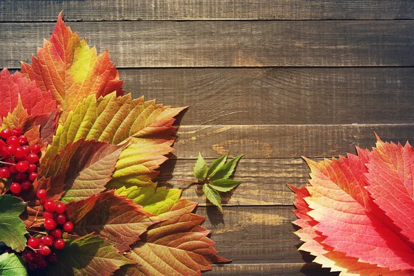 Autumn background with colored leaves on wooden board. — Stock Photo, Image