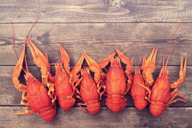 Haşlanmış crawfishes yakın çekim