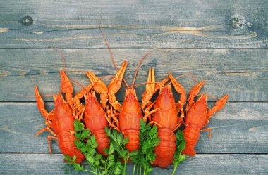 Haşlanmış crawfishes yakın çekim