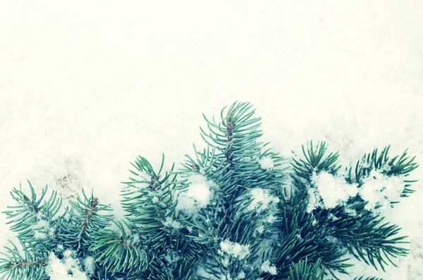 New Year's winter background with fir-tree branches on snow — Stock Photo, Image