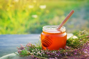 Çiçek melliferous otlar ile cam bir kavanozda Bal
