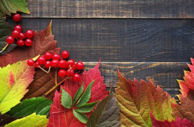Tahta üzerinde renkli yapraklar olan sonbahar arkaplanı. 