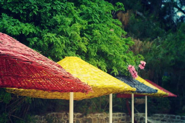Яркие разноцветные пляжные зонтики на фоне зелени и тропических цветов — стоковое фото
