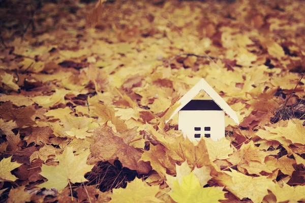 House from paper in bright yellow autumn leaves. — Stock Photo, Image