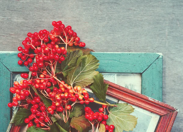 Retro a background with red berries and old photoframework — Stock Photo, Image