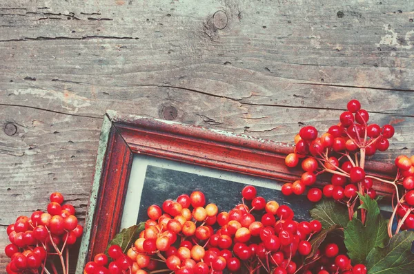 Retro a background with red berries and old photoframework — Stock Photo, Image