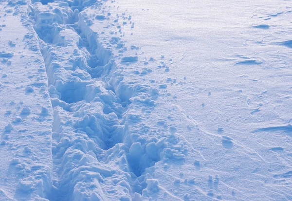 Snow winter. Texture of snow. — Stock Photo, Image