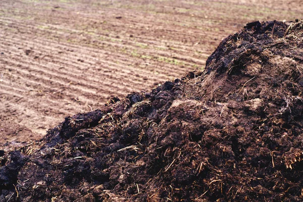 Montón de estiércol en el campo arado en el día de otoño . — Foto de Stock