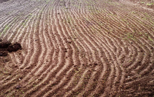 Campo cultivable. La preparación de la tierra para el invierno — Foto de Stock