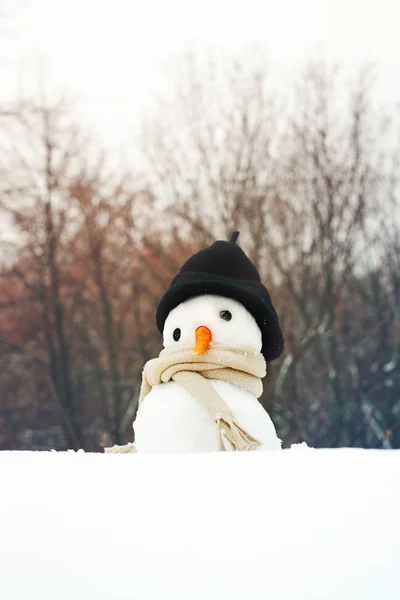 Kleiner Schneemann mit Mütze und Schal auf Schnee im Winter vor dem Hintergrund von Bäumen. — Stockfoto