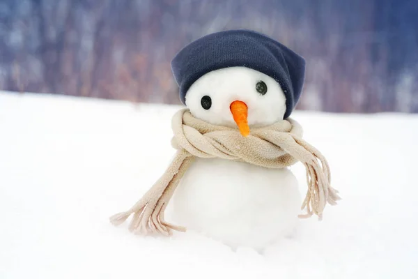 Pequeno boneco de neve em um gorro e um lenço na neve no inverno contra o fundo de árvores . — Fotografia de Stock