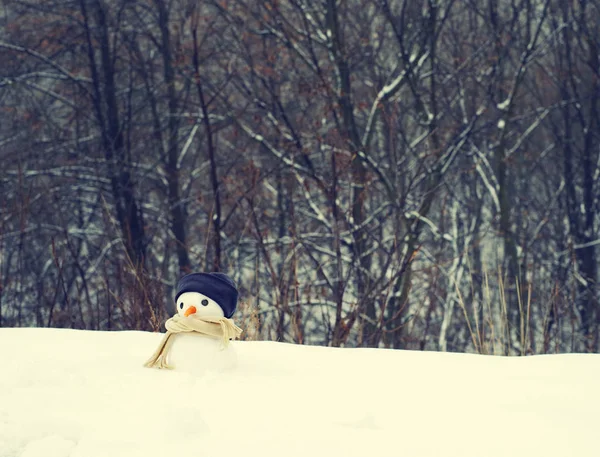 Pequeno boneco de neve em um gorro e um lenço na neve no inverno contra o fundo de árvores . — Fotografia de Stock