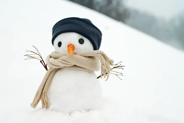 Malý sněhulák v čepici a šálu na sněhu v zimě. — Stock fotografie