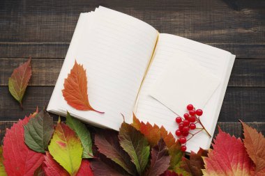 Defter ile sonbahar yaprakları üzerinde boş sayfaları