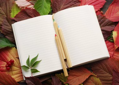 Defter ile boş sayfaları ve sonbahar yaprakları üzerinde ahşap renkli kalemler