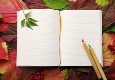 Defter ile boş sayfaları ve sonbahar yaprakları üzerinde ahşap renkli kalemler
