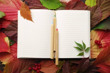 Defter ile boş sayfaları ve sonbahar yaprakları üzerinde ahşap renkli kalemler
