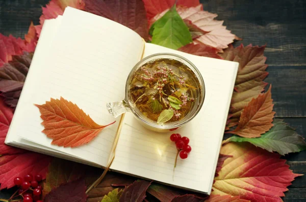 Herbal tea in a glass transparent cup and open pure notebook on autumn leaves. — Stock Photo, Image