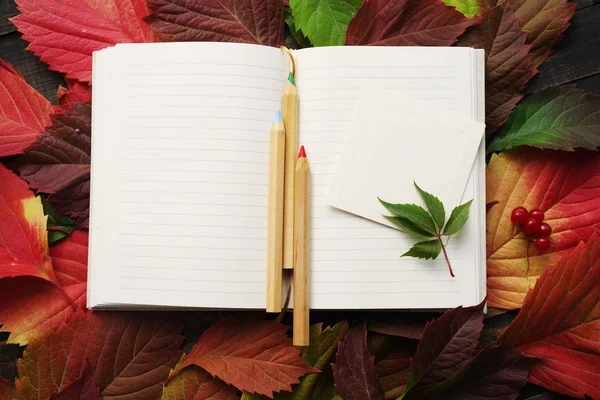 Carnet de notes avec pages blanches et crayons de couleur en bois sur les feuilles d'automne — Photo
